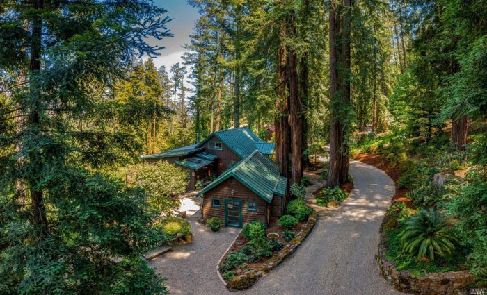 Green roof home in the Redwoods