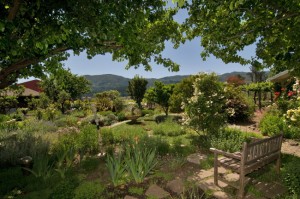 Views of the Garden and Hills