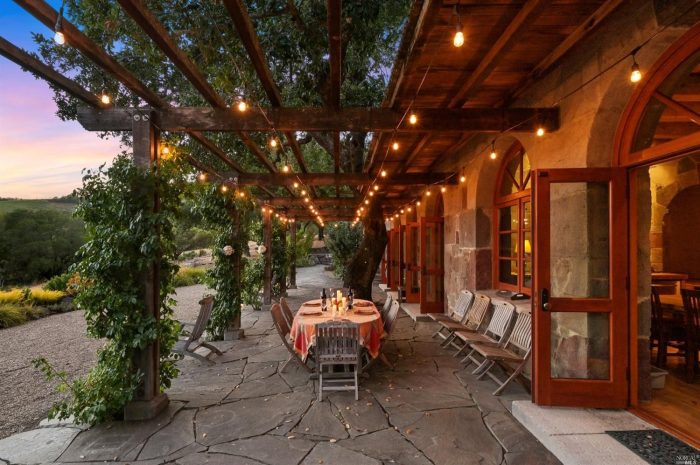 Napa Valley patio with grape vines growing over pergola