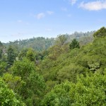 44 6585 Oakwood Drive, Oakland