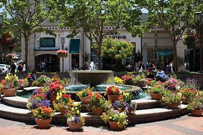 Fountain and flowers in Walnut Creek, California.