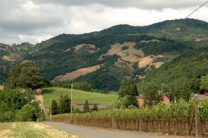 Highway 12 in Kenwood, Calif.