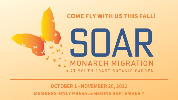 Compass - Soar Monarch Migration
