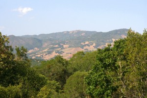 View from Sonoma Mountain