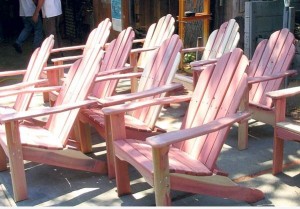 Adirondack chairs made from cedar trees cut down last year.