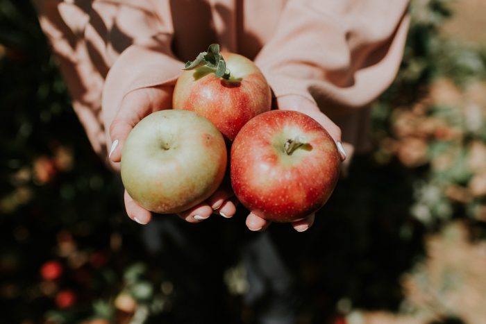 Compass - Hands Holding Apples