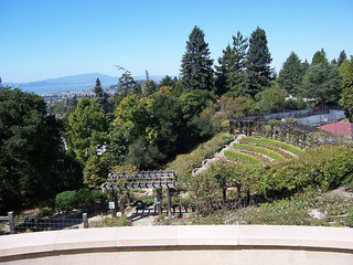 berkeley_rose_garden