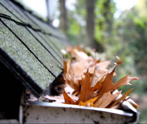 Clogged gutters