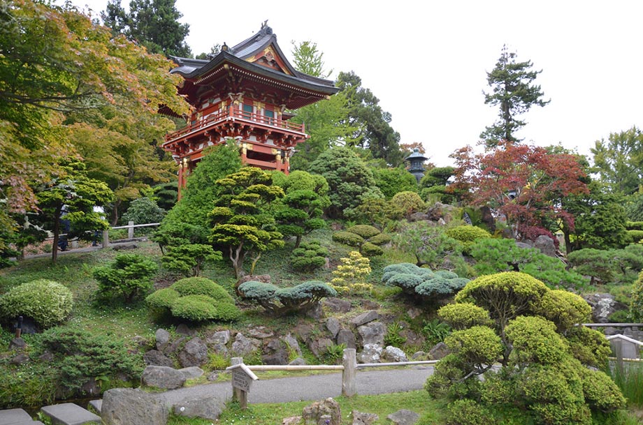 japanese teagarden