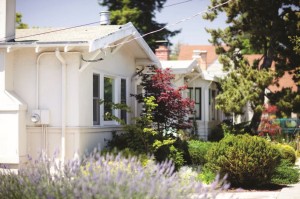 A Neighborhood scene from Alameda County.