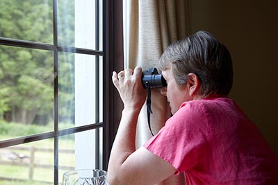 Neighbor spying out the window with binoculars