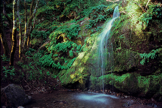 novato waterfall