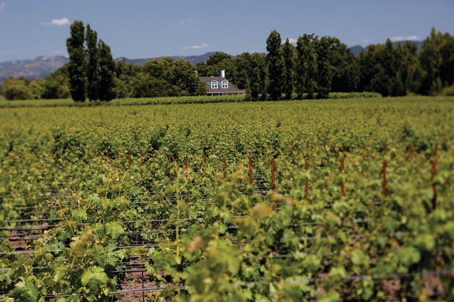 oakvile vineyards