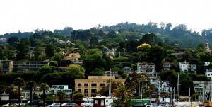sausalito Sausalito hillside