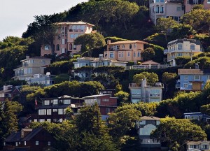 Sausalito hills